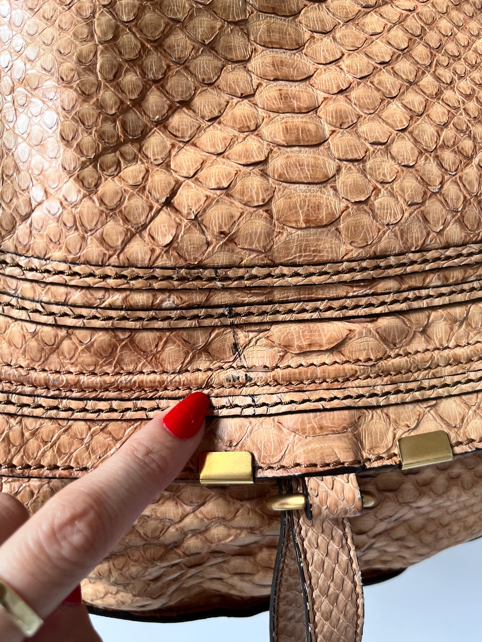 chloe marcie python bag